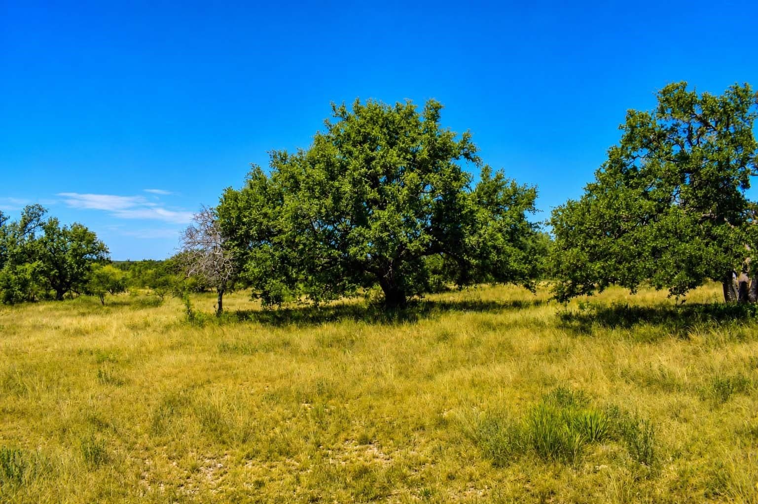 29.65 acres in Menard County - photo 15