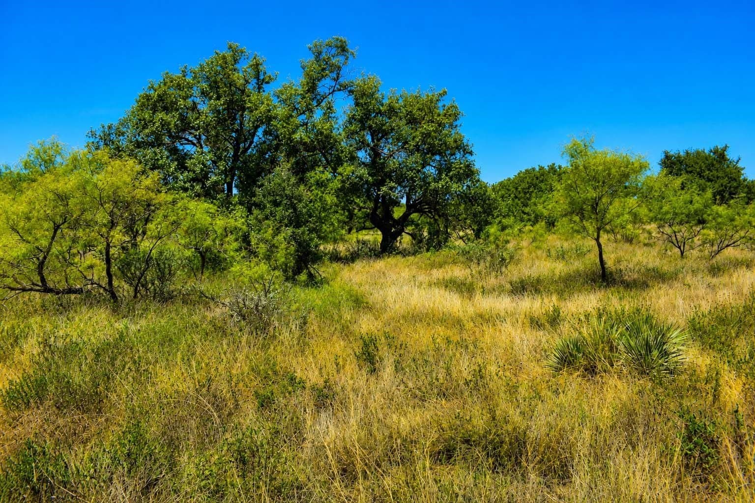 29.65 acres in Menard County - photo 5