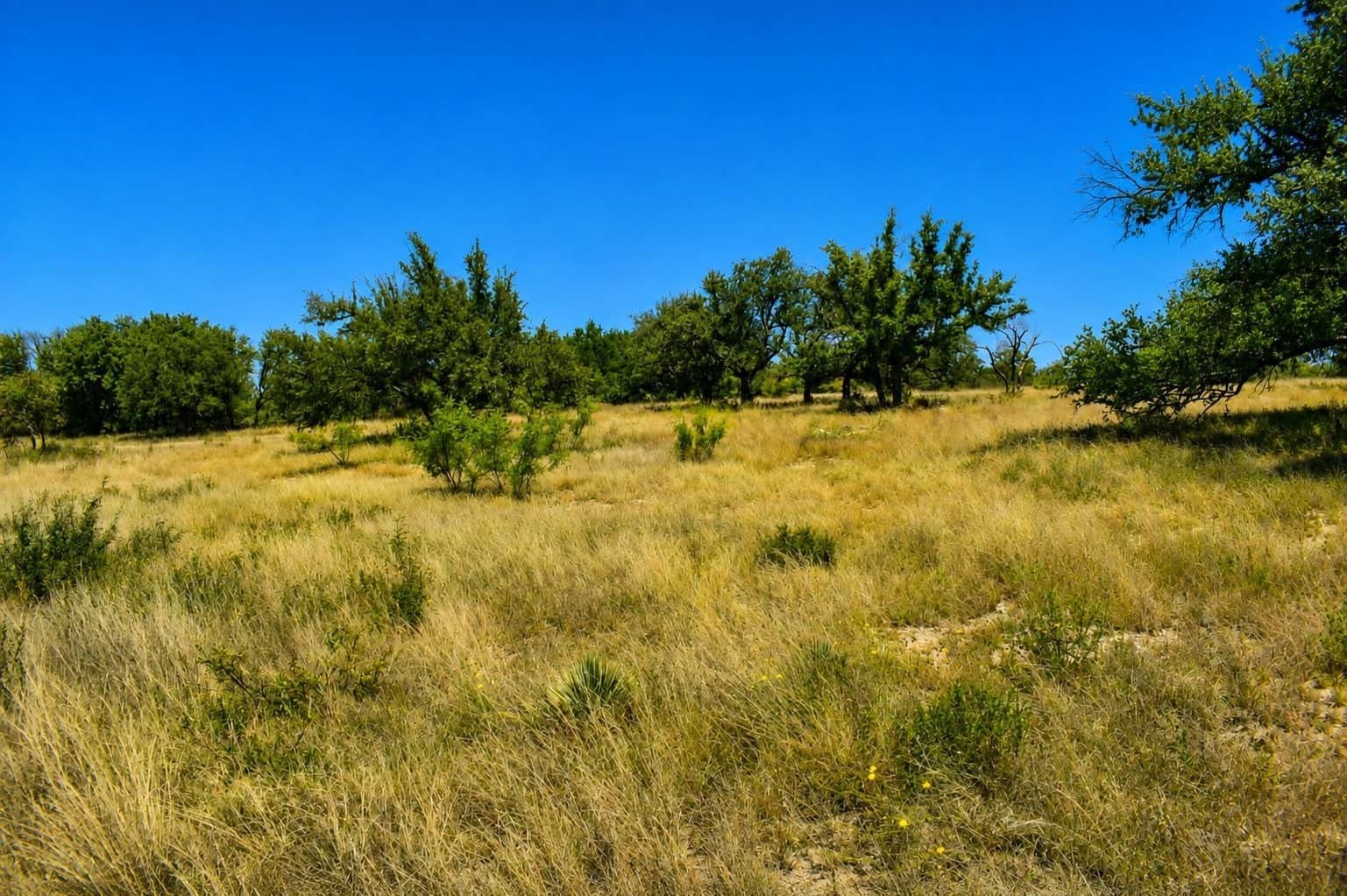 29.65 acres in Menard County - photo 12