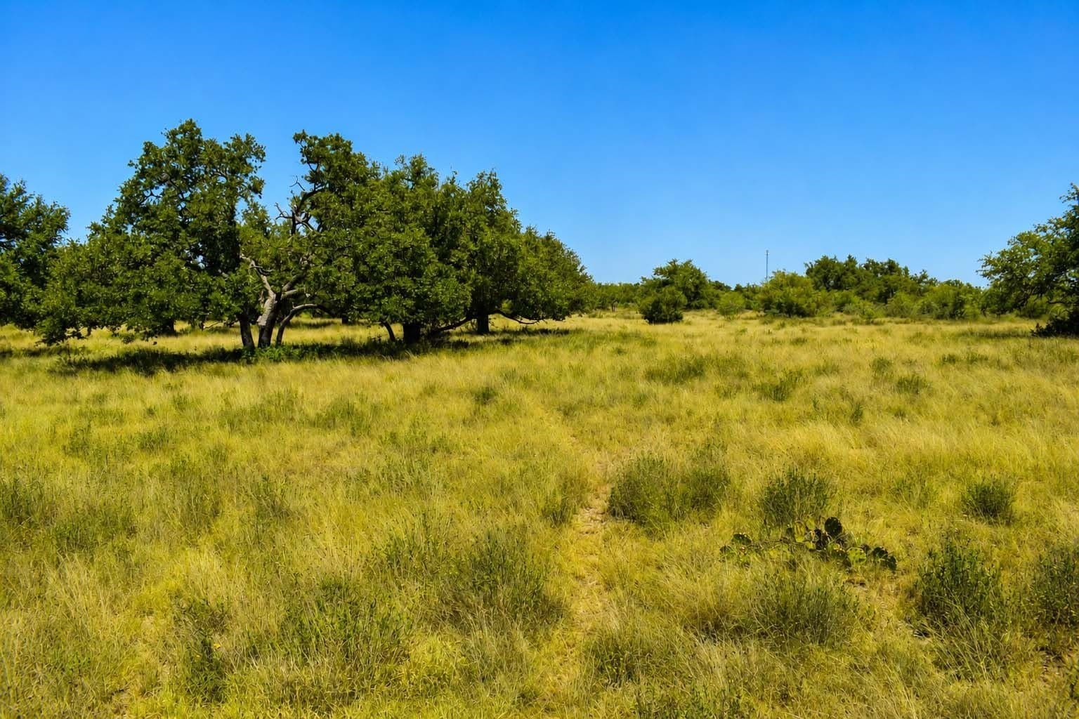 29.65 acres in Menard County - photo 18