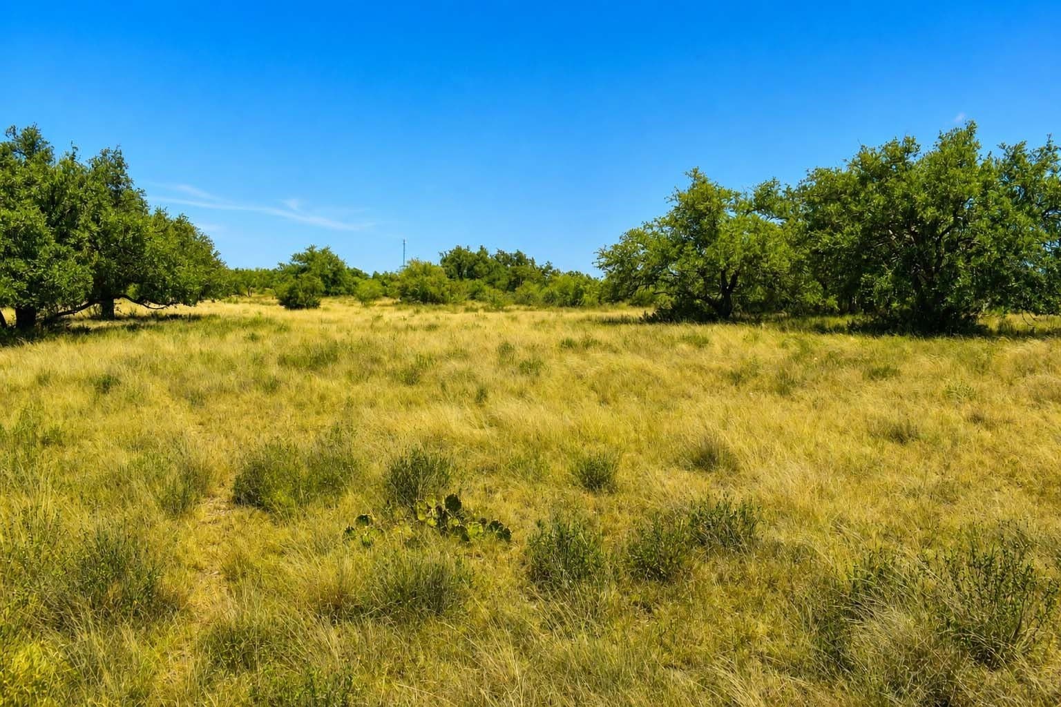 29.65 acres in Menard County - photo 17