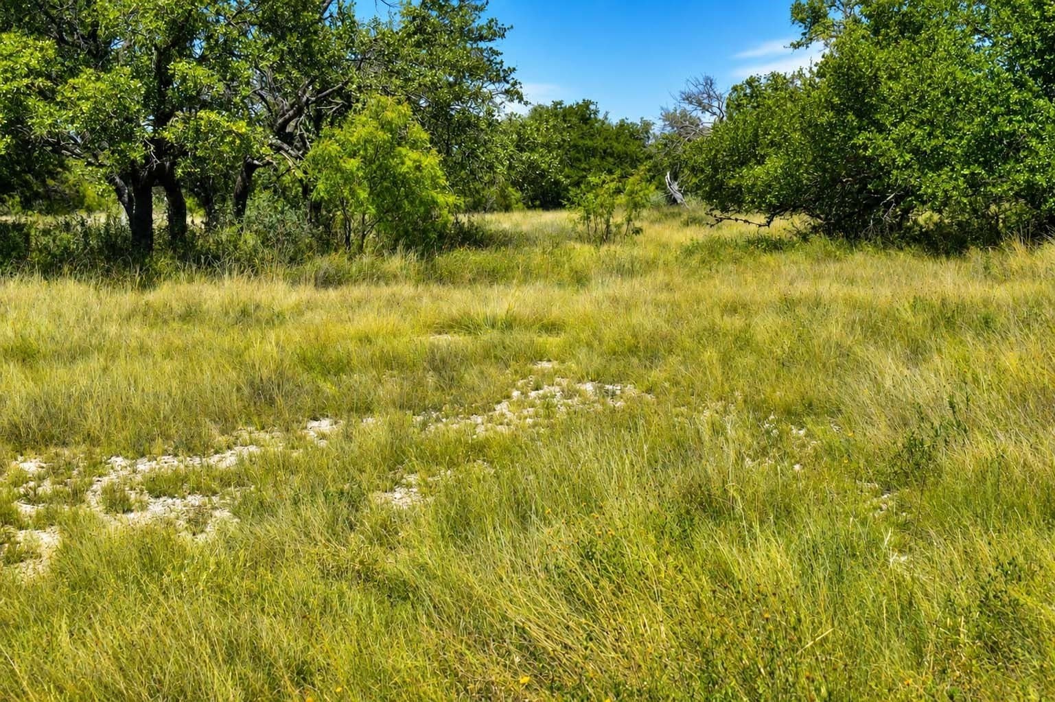 29.65 acres in Menard County - photo 10