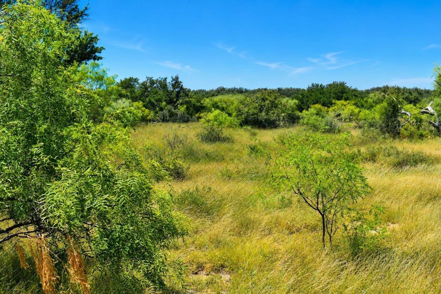 29.65 acres in Menard County - photo 2