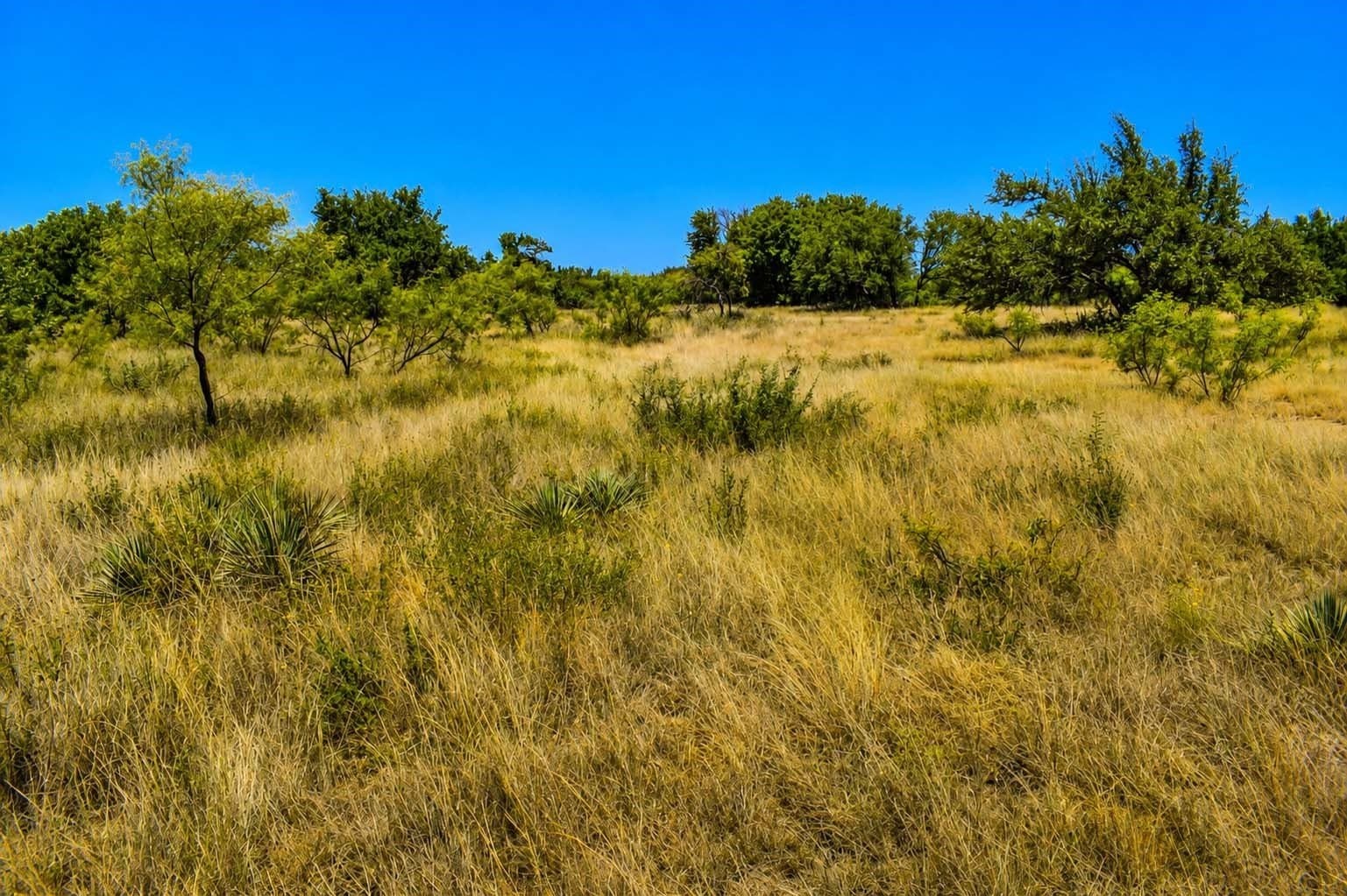 29.65 acres in Menard County - photo 13