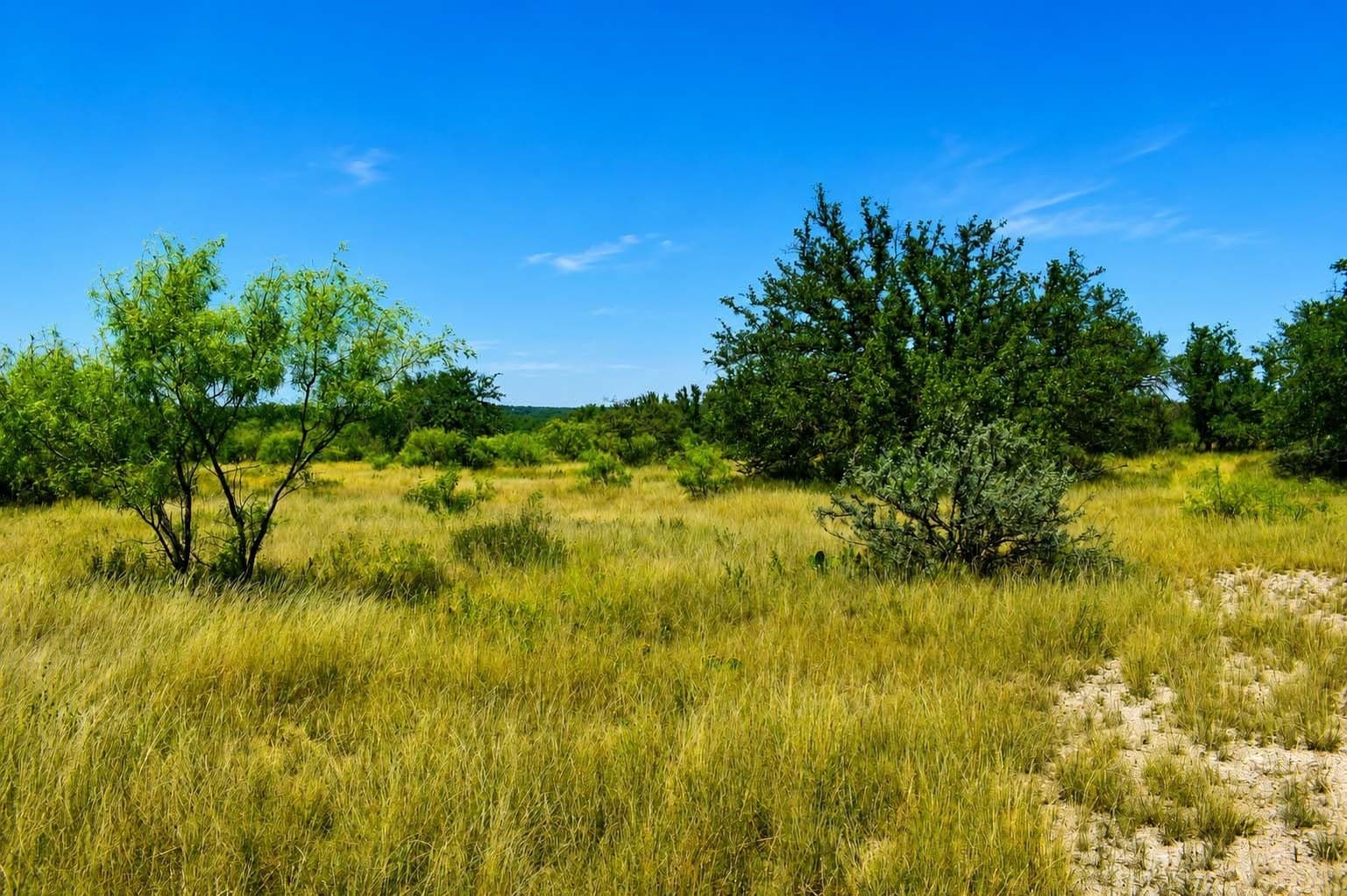 29.65 acres in Menard County - photo 9