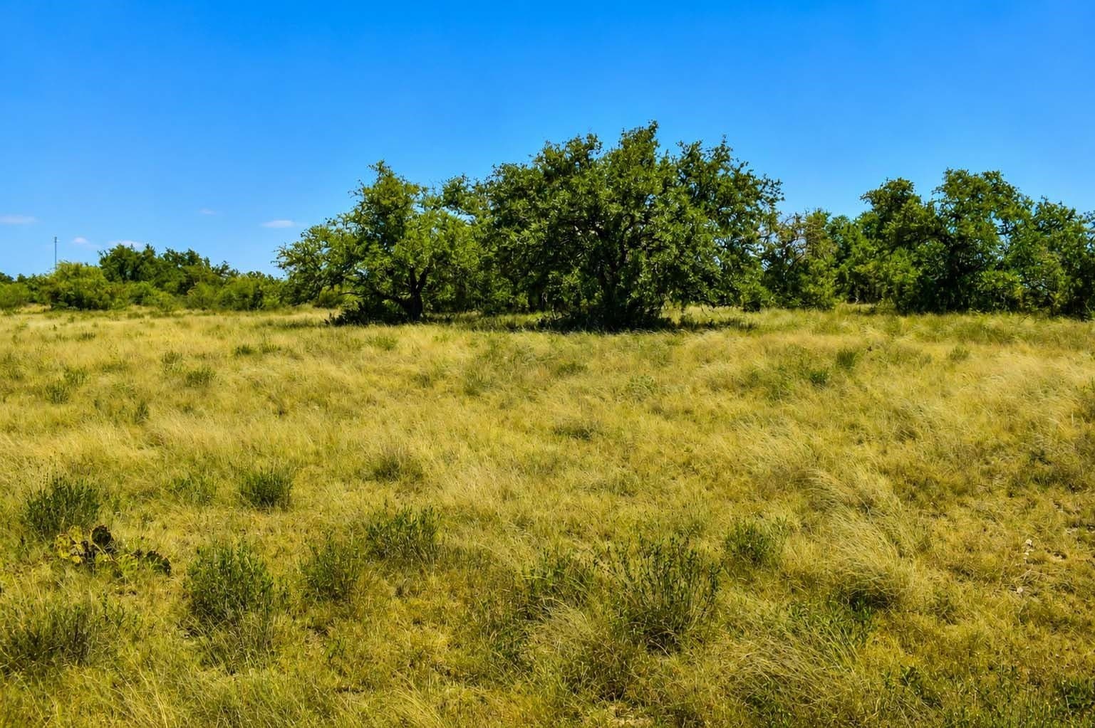29.65 acres in Menard County - photo 16