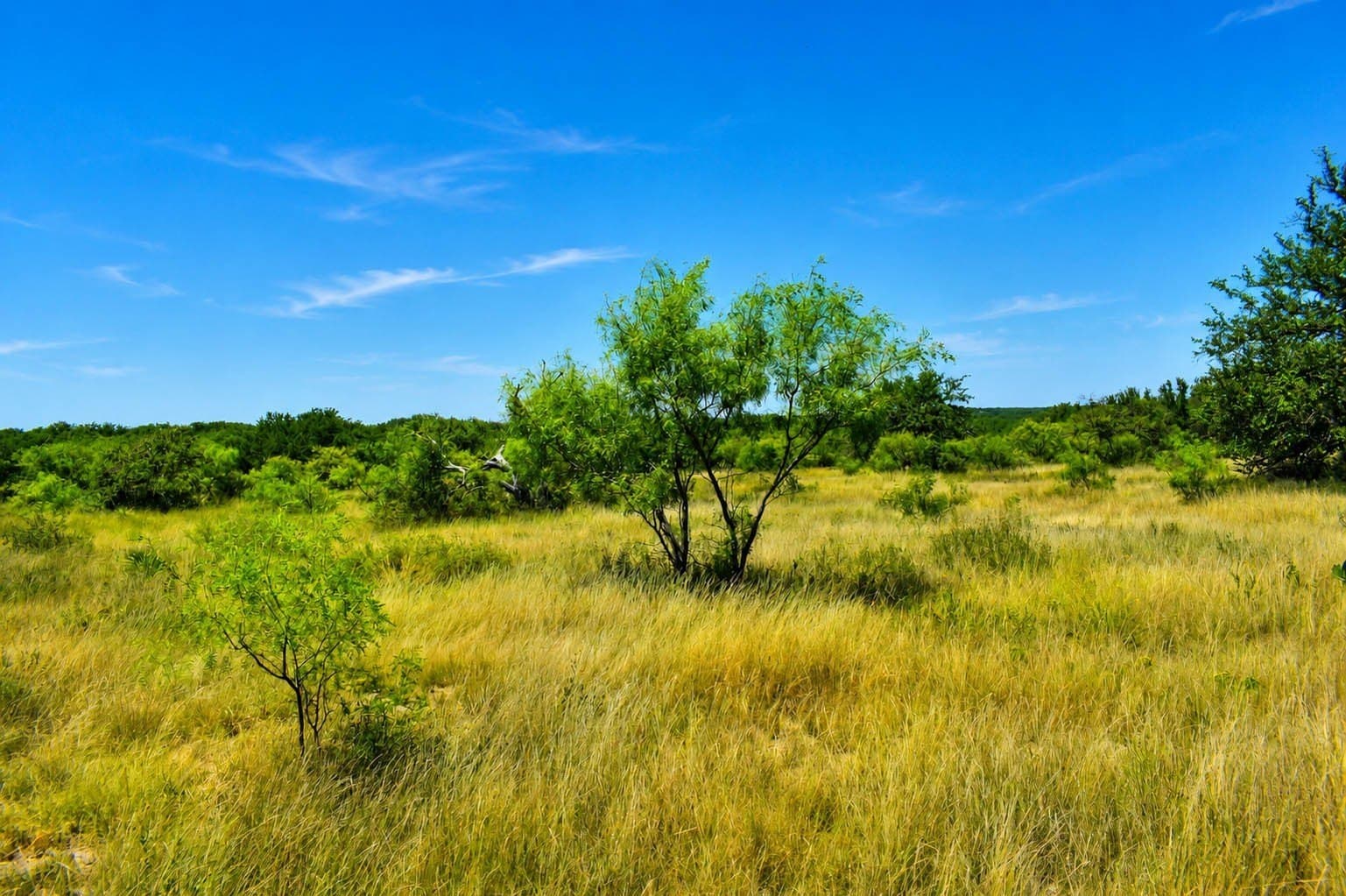 29.65 acres in Menard County - photo 8