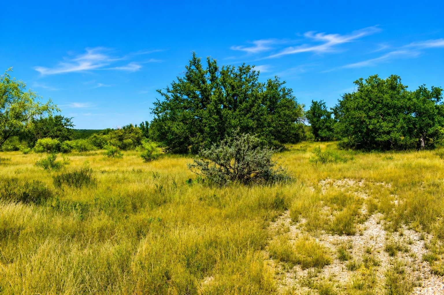29.65 acres in Menard County - photo 6