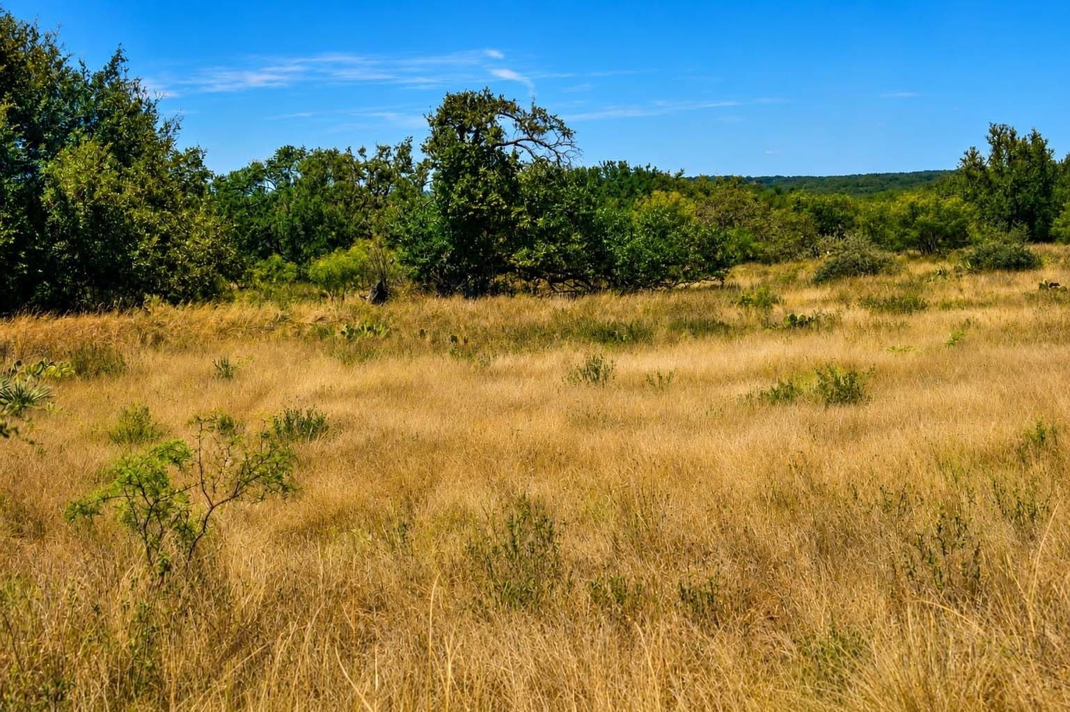 29.65 acres in Menard County - photo 11
