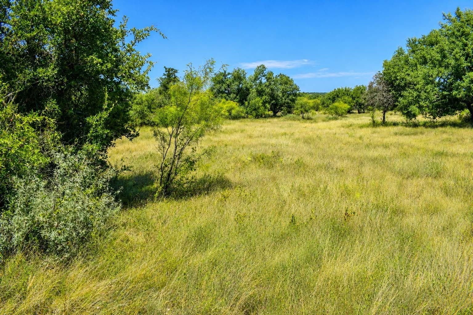 29.65 acres in Menard County - photo 20