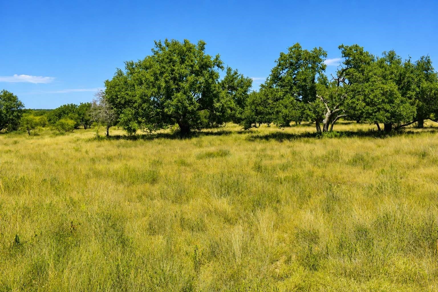 29.65 acres in Menard County - photo 19