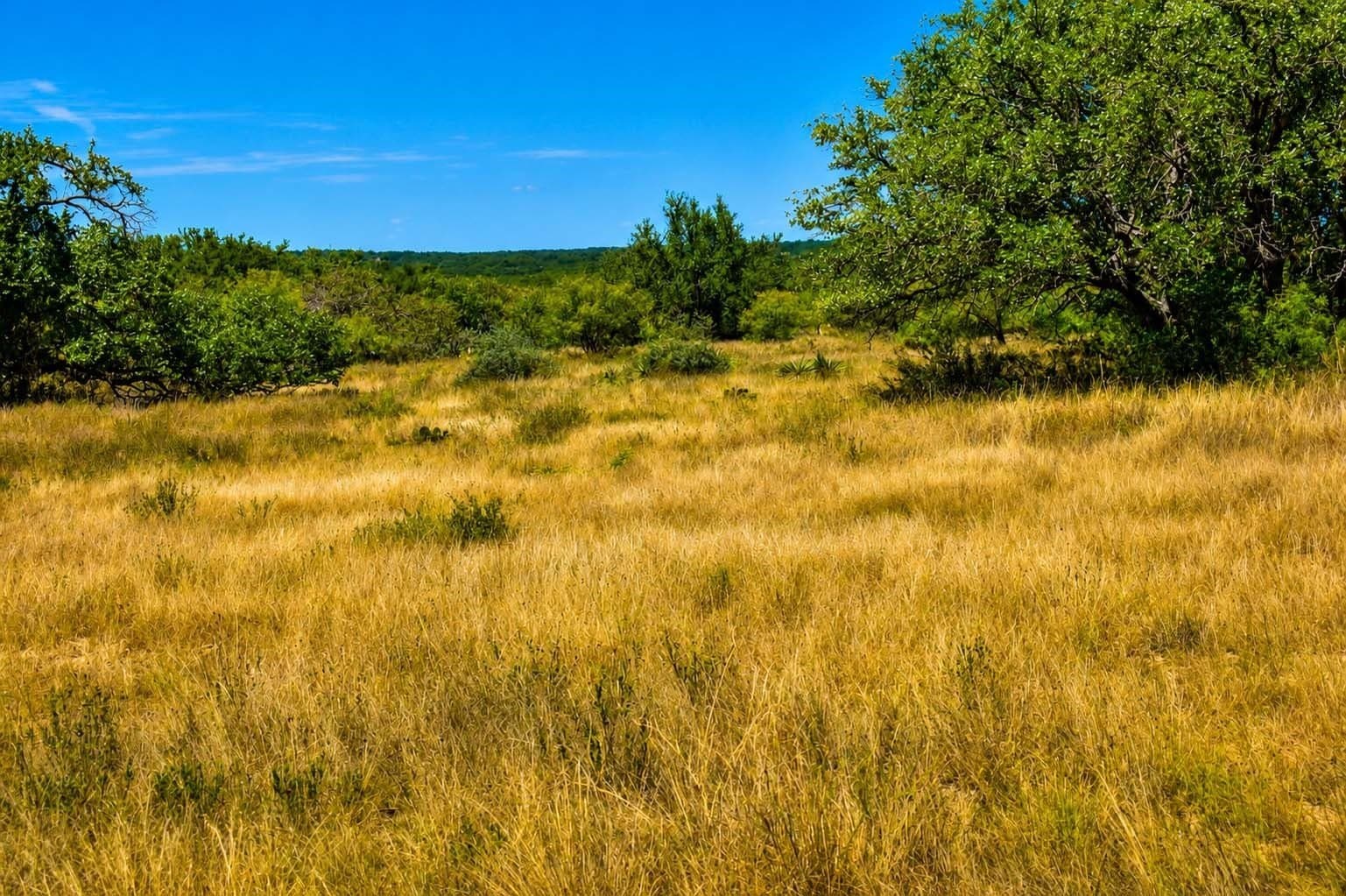 29.65 acres in Menard County - photo 7
