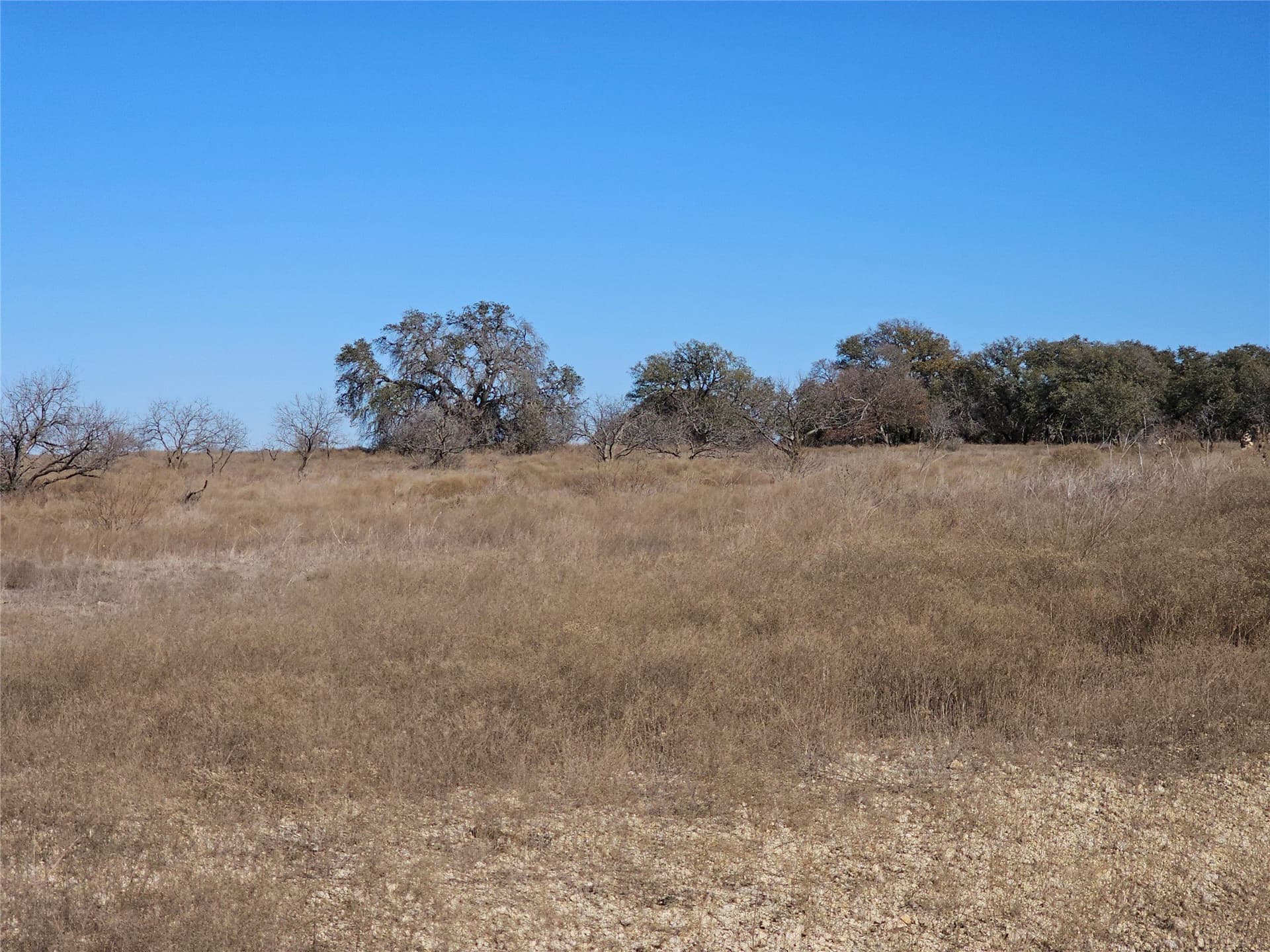 10.01 acres in Comanche County - photo 17