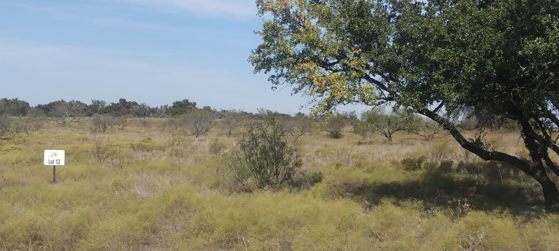 10.01 acres in Comanche County - photo 6