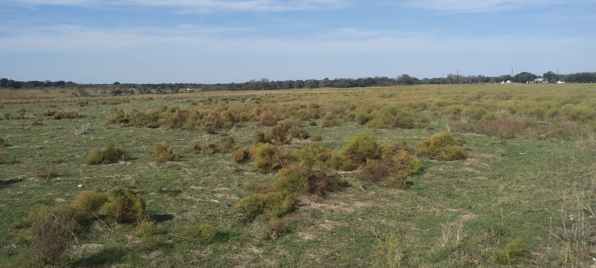 10.01 acres in Comanche County gallery image 4