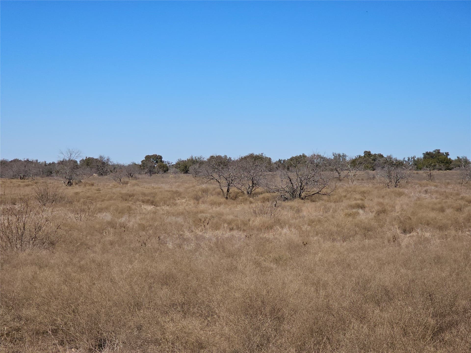 10.01 acres in Comanche County - photo 10