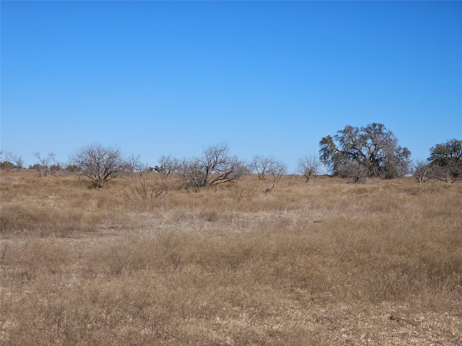 10.01 acres in Comanche County - photo 16