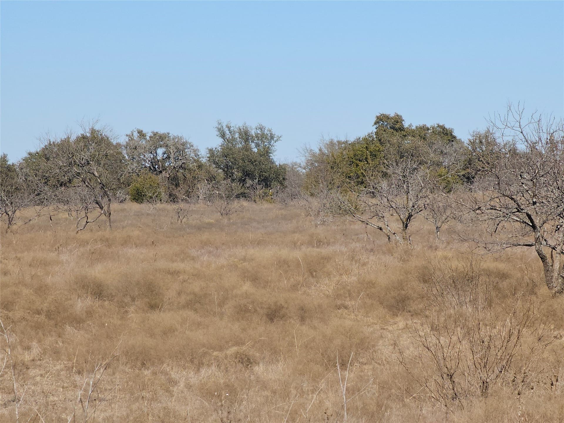 10.01 acres in Comanche County - photo 14