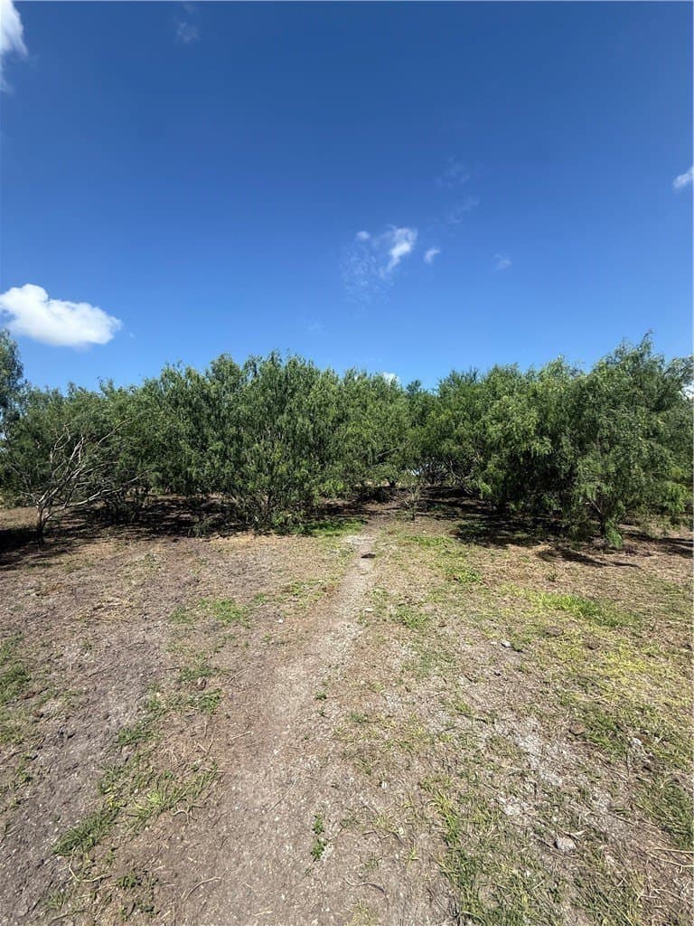 12.42 acres in San Patricio County gallery image 3