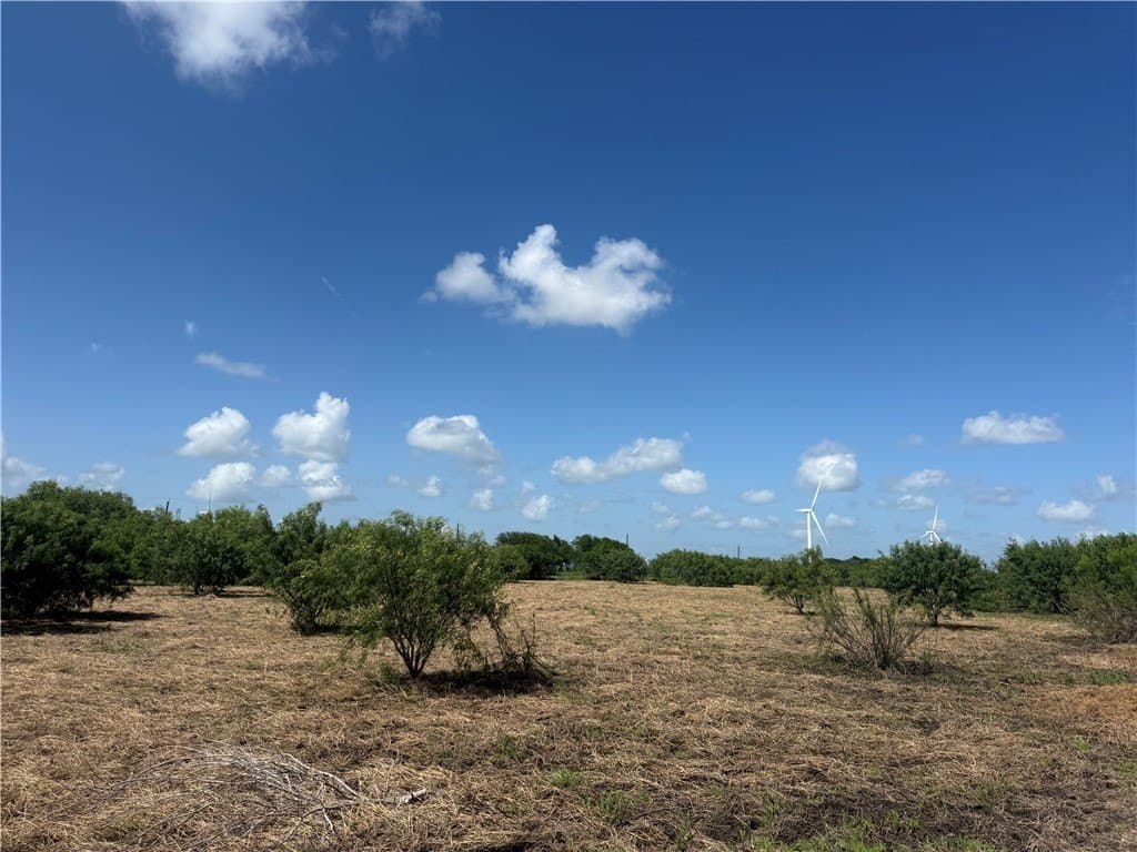 12.42 acres in San Patricio County gallery image 2
