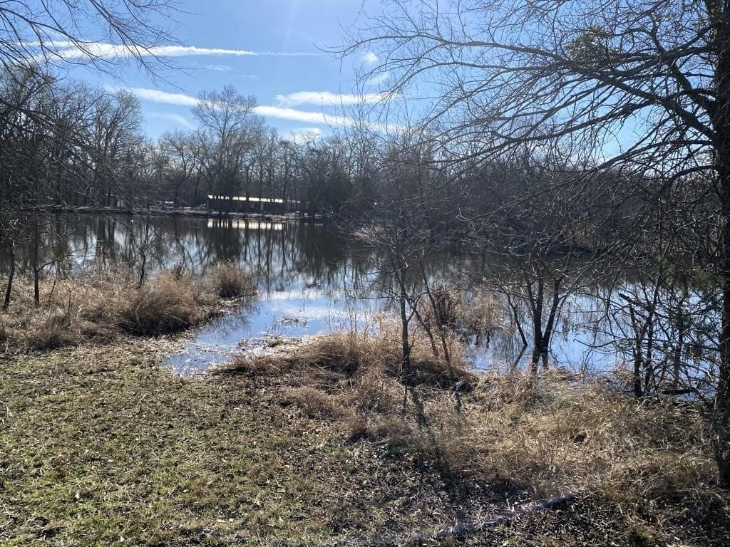 25 acres in Van Zandt County gallery image 2