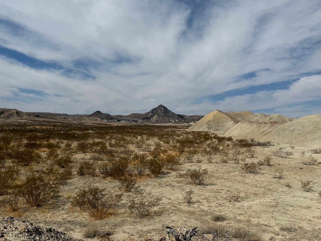 40 acres in Brewster County - photo 9
