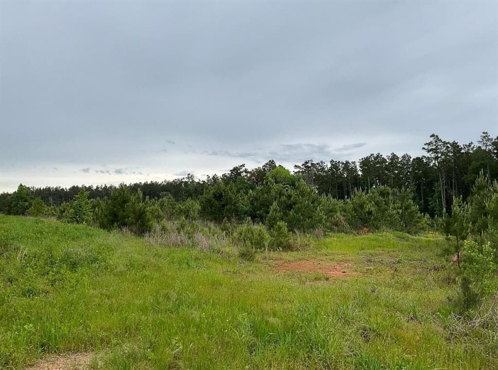 75 acres in Shelby County gallery image 2