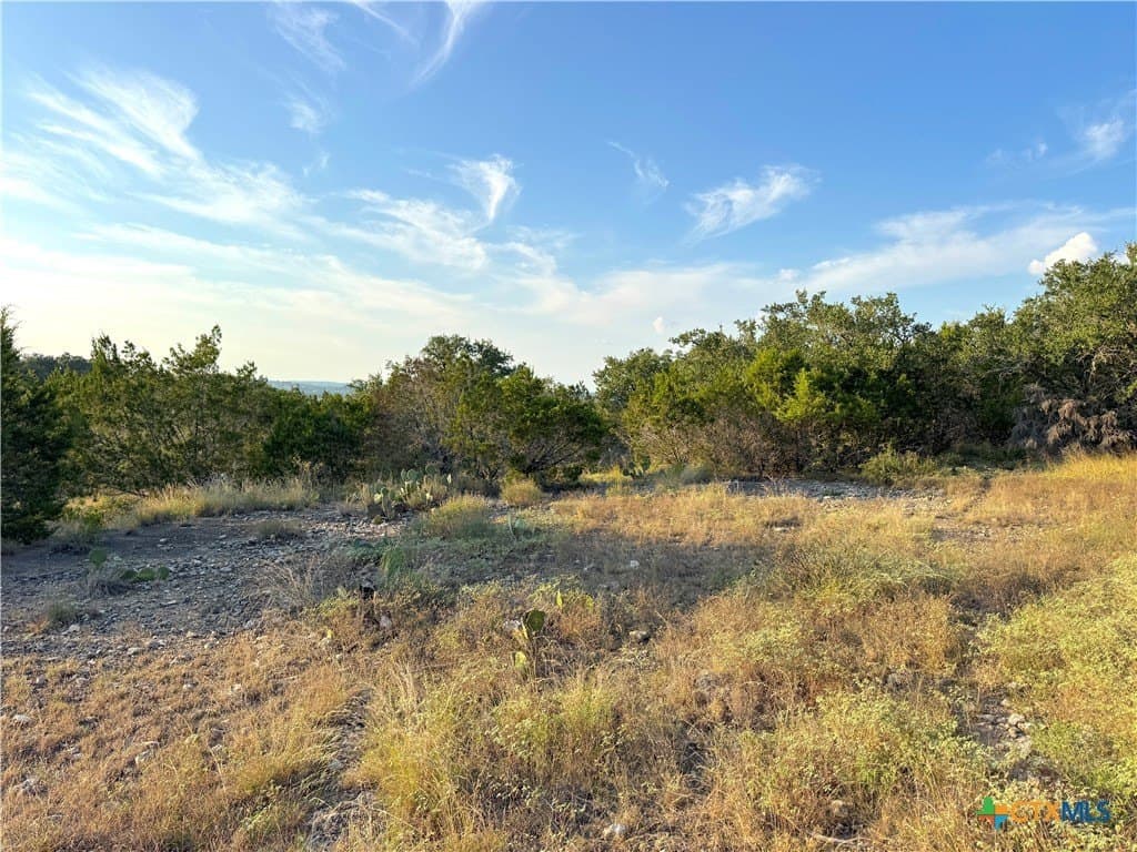 0.69 acres in Comal County - photo 7