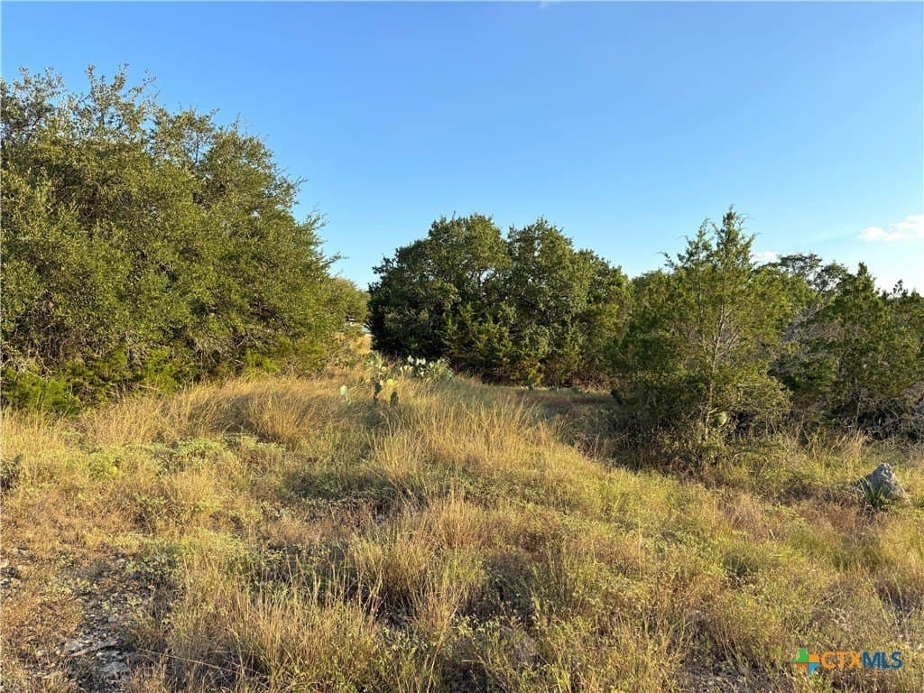 0.69 acres in Comal County - photo 6