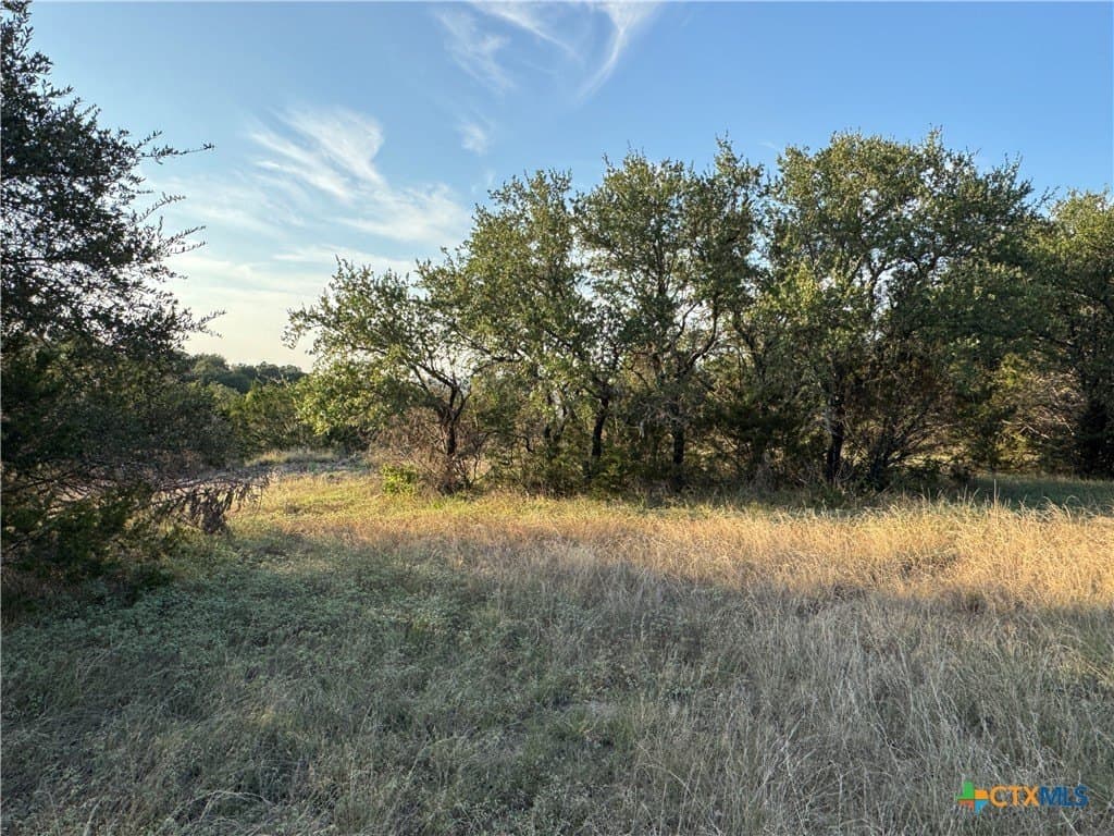 0.69 acres in Comal County - photo 14