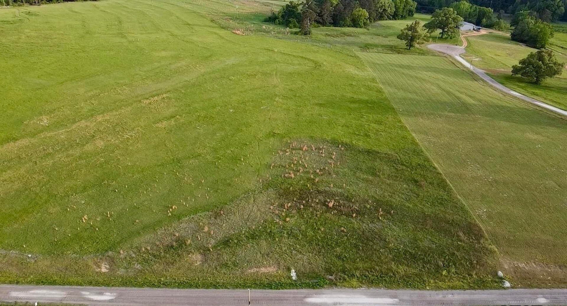 4.01 acres in Upshur County - photo 2