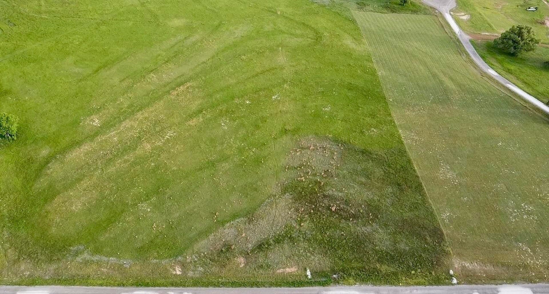 4.01 acres in Upshur County - photo 5