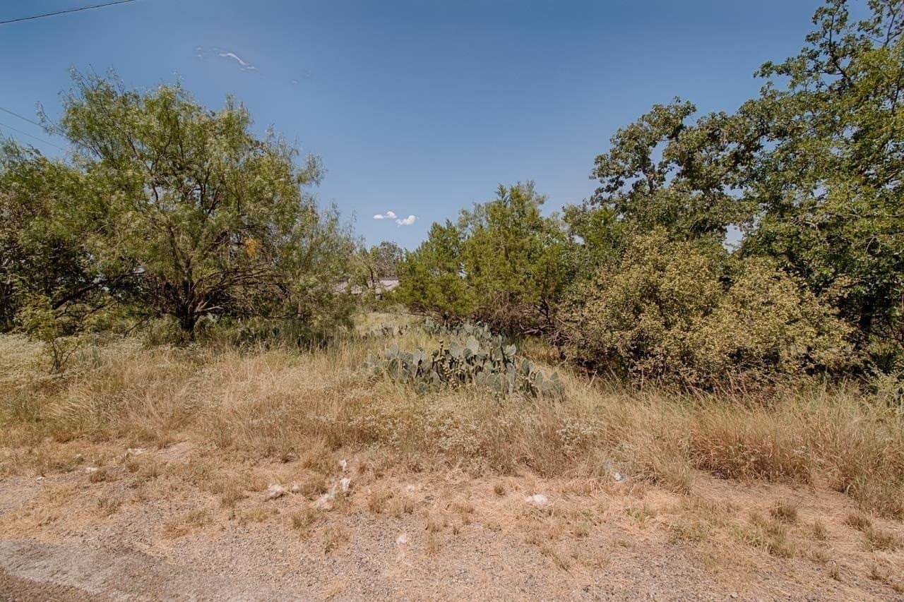 0.23 acres in Burnet County gallery image 3
