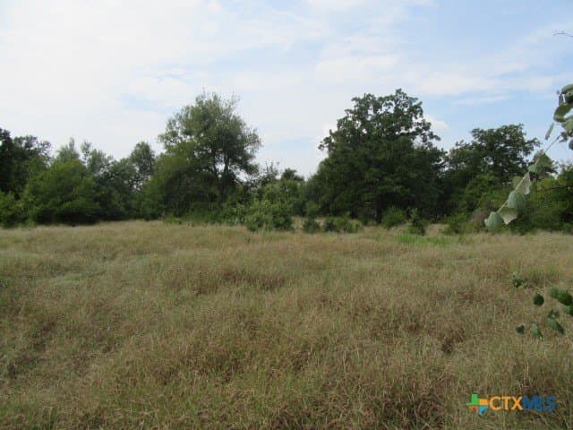 22.43 acres in Milam County - photo 8