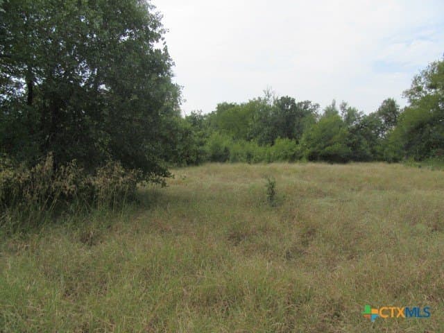 22.43 acres in Milam County - photo 9