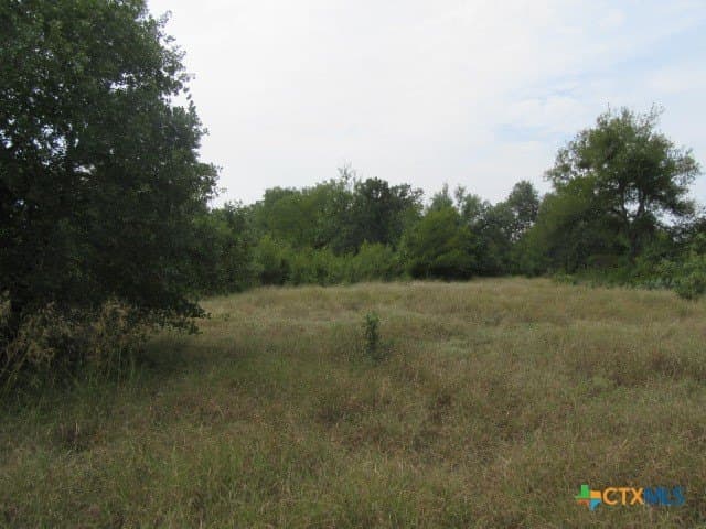 22.43 acres in Milam County - photo 7