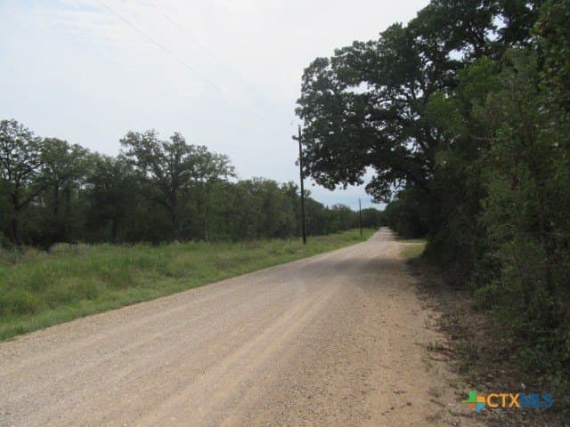 22.43 acres in Milam County gallery image 4