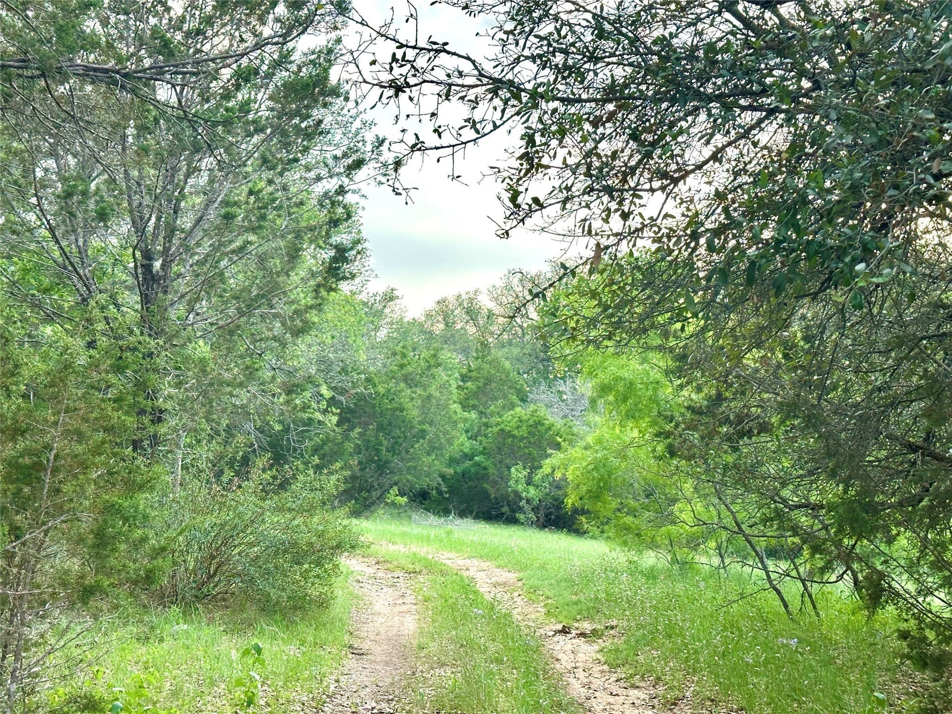 150 acres in Mills County - photo 26