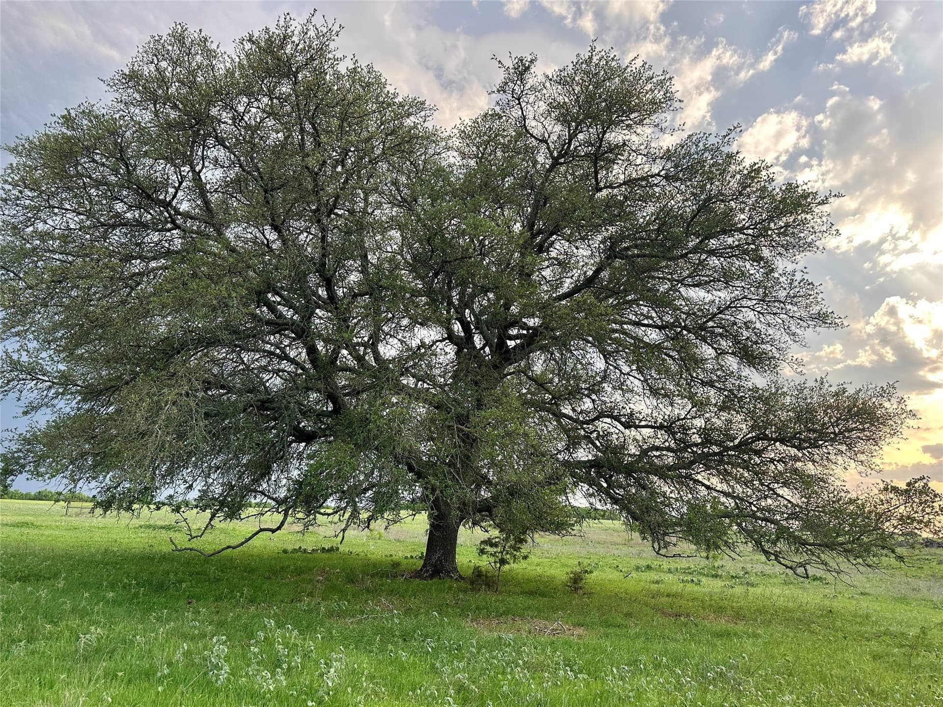 150 acres in Mills County - photo 30
