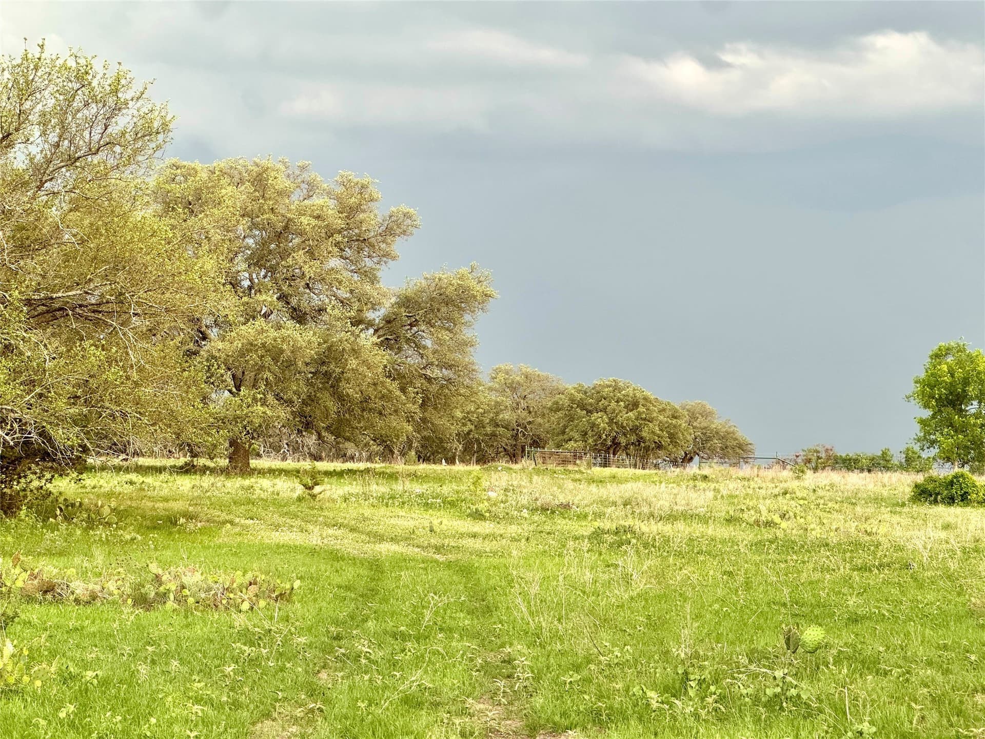 150 acres in Mills County - photo 37