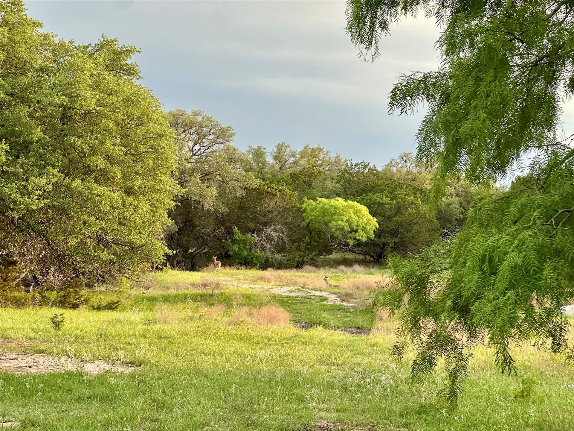 150 acres in Mills County - photo 19