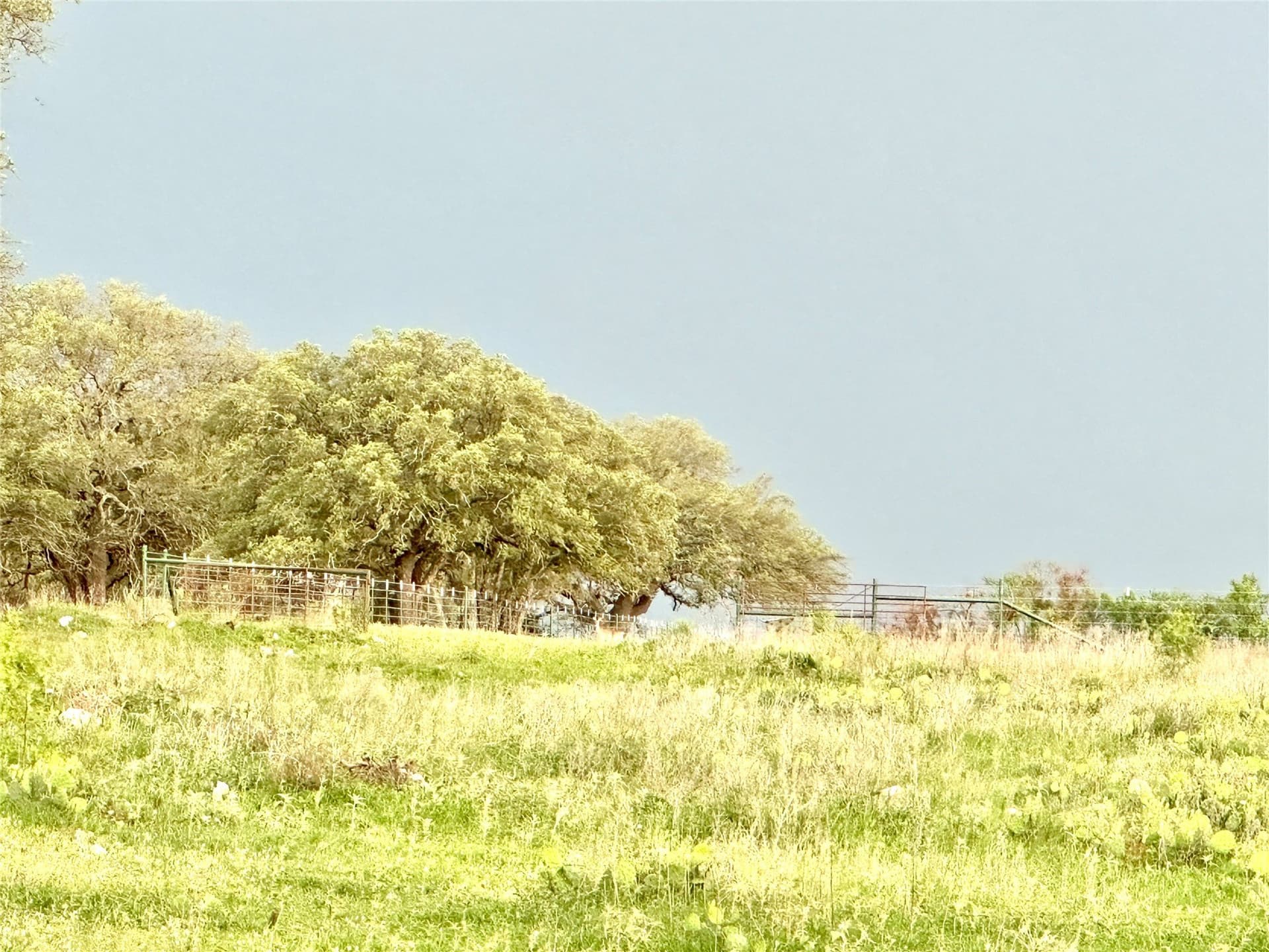 150 acres in Mills County - photo 38