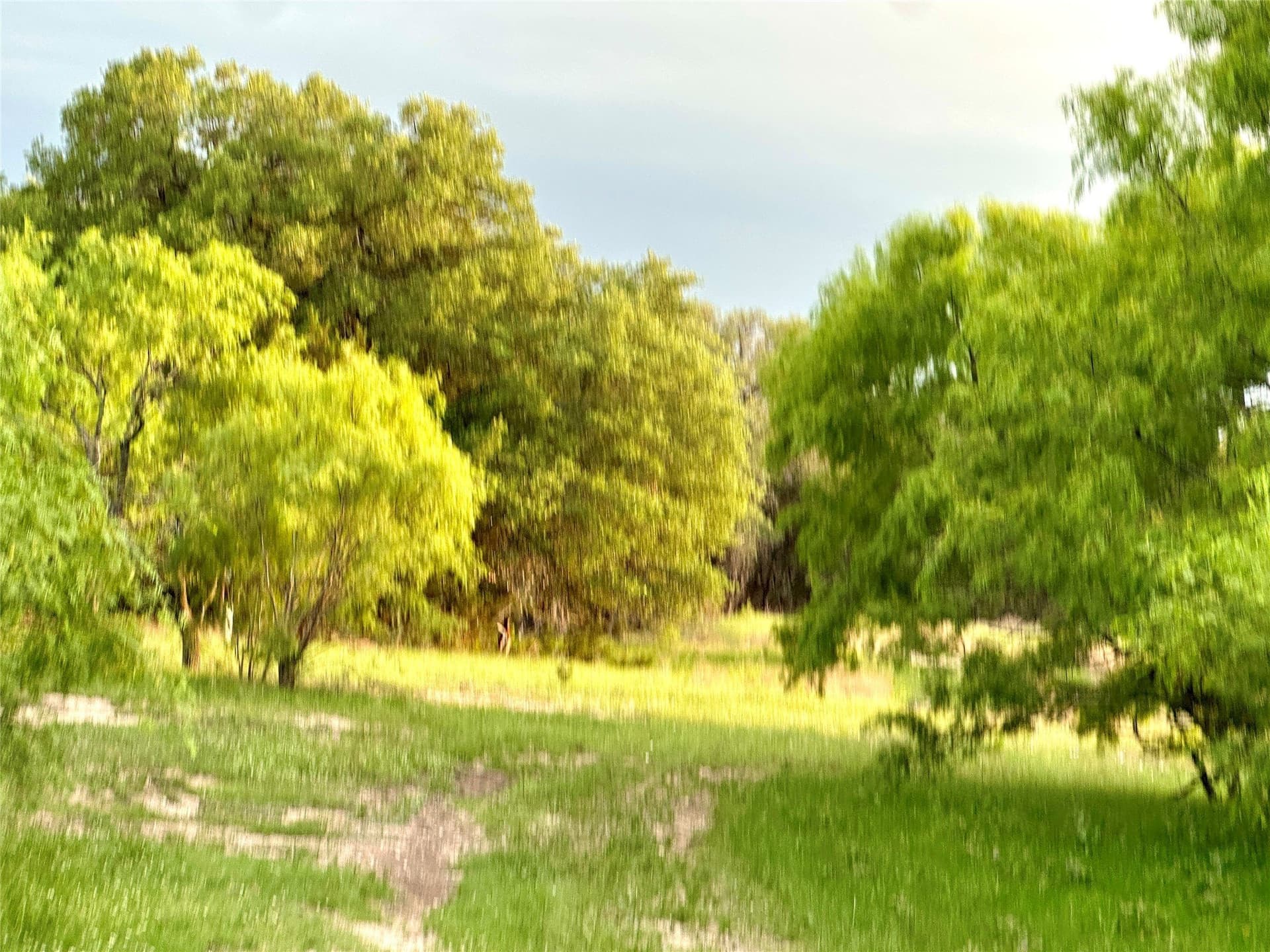 150 acres in Mills County - photo 17