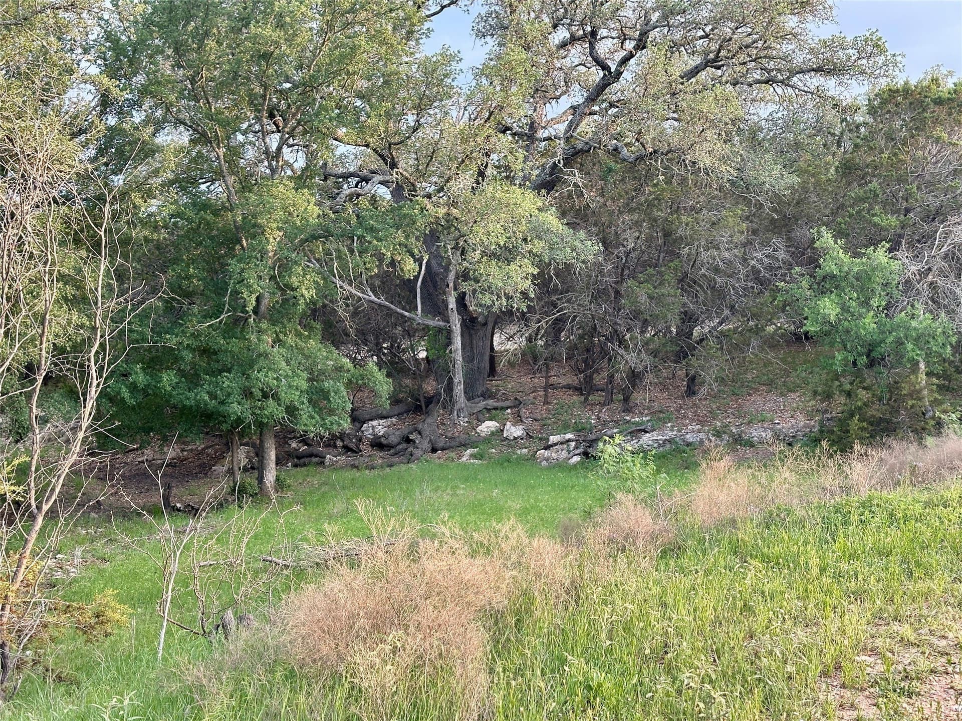 150 acres in Mills County - photo 22