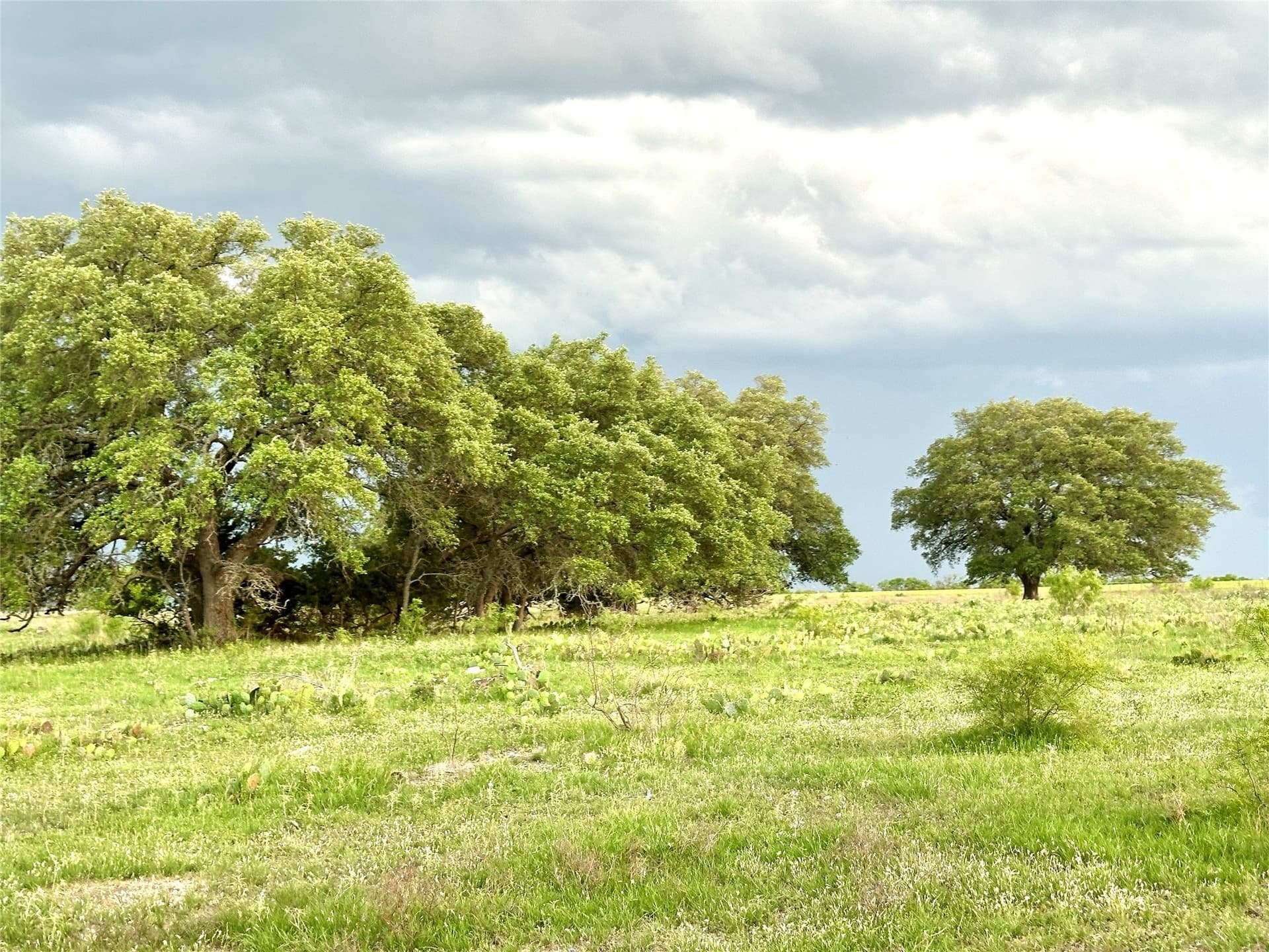 150 acres in Mills County - photo 36