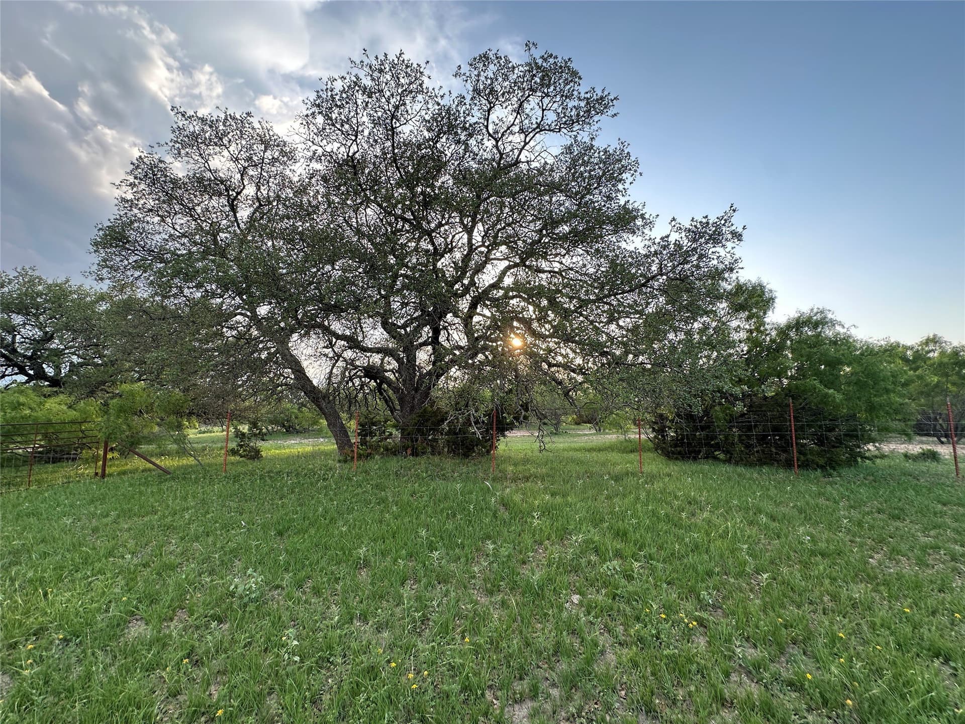 150 acres in Mills County gallery image 3