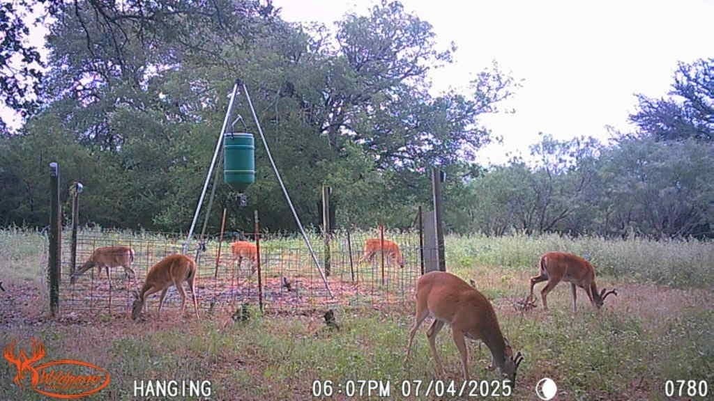 150 acres in Mills County - photo 18