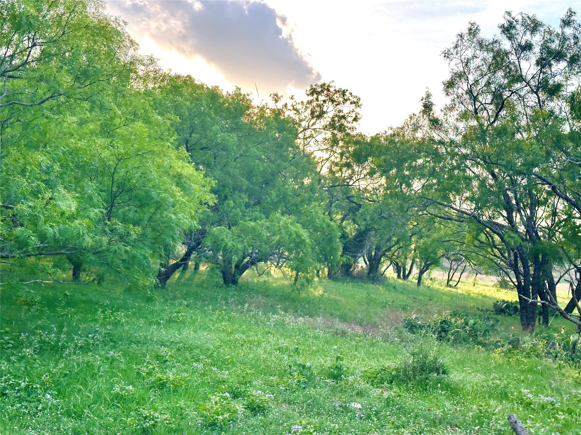 150 acres in Mills County - photo 15