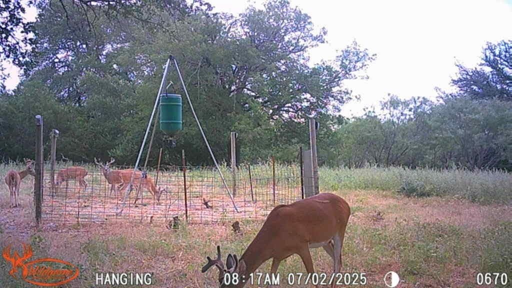 150 acres in Mills County gallery image 2