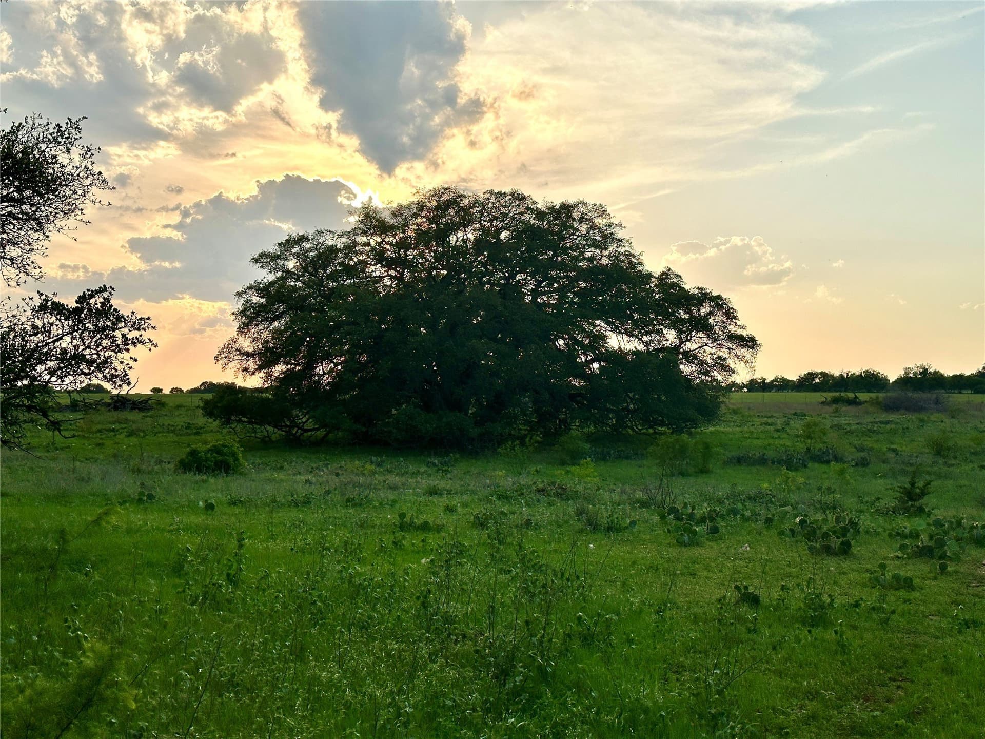 150 acres in Mills County - photo 29